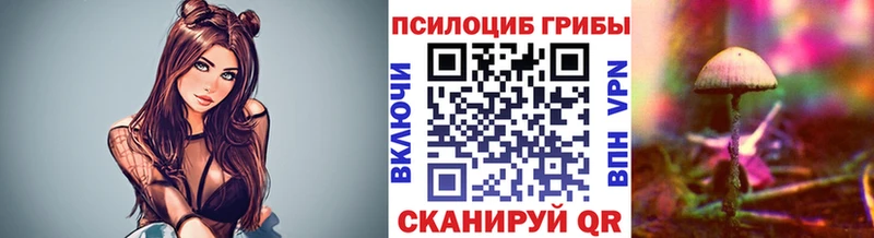 Псилоцибиновые грибы мицелий где купить Ессентукская